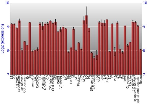 Expression graph