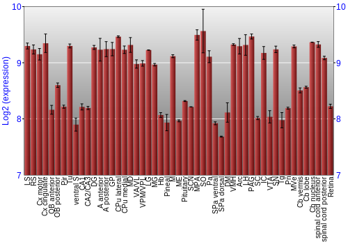 Expression graph