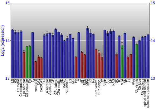 Multi-state expression graph
