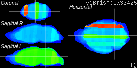 ViBrism